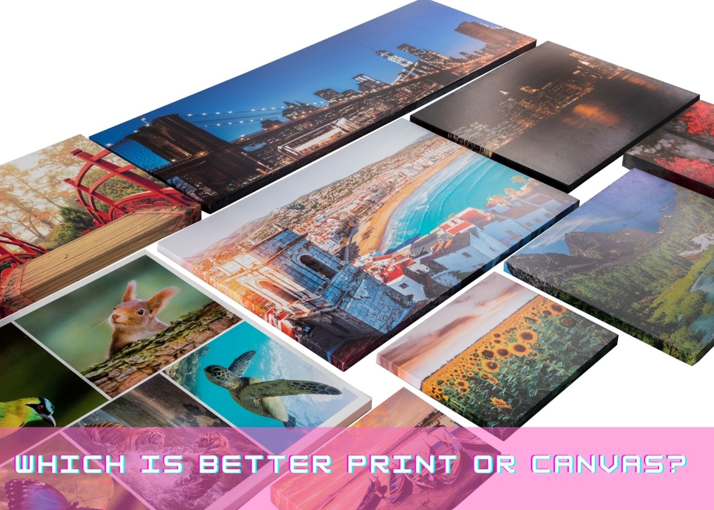 Which is better print or canvas? 